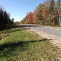 108 acres Beautiful North Country Woodlands images 2