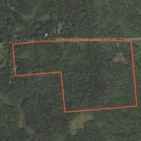 108 acres Beautiful North Country Woodlands images 4