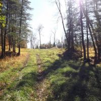 108 acres Beautiful North Country Woodlands images 5