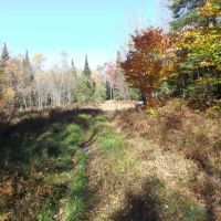 108 acres Beautiful North Country Woodlands images 6