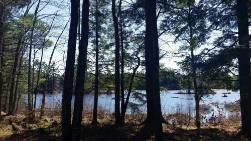 9 acres on Carterville Pond Amboy NY featured image