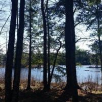 9 acres on Carterville Pond Amboy NY
