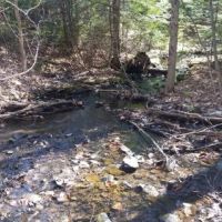 9 acres on Carterville Pond Amboy NY images 3