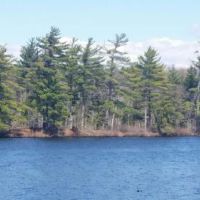 9 acres on Carterville Pond Amboy NY images 5