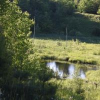 1055 acres Woodlands with Interior Roads