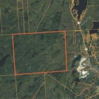 1055 acres Woodlands with Interior Roads images 4