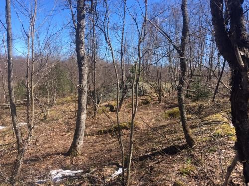 200 acres Hunting Land Bordering State Forest featured image