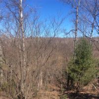 200 acres Hunting Land Bordering State Forest images 2
