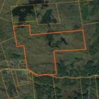 200 acres Hunting Land Bordering State Forest images 5