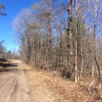 200 acres Hunting Land Bordering State Forest images 6