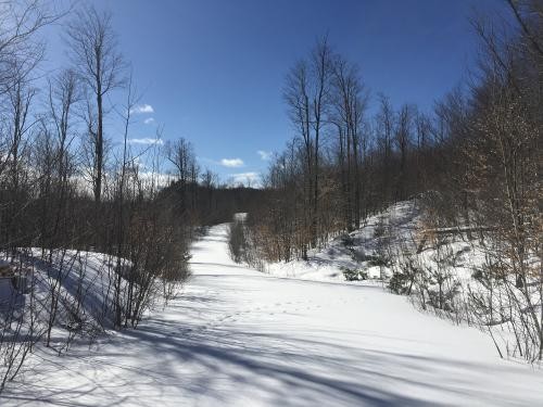 90 acres in Foothills of Adirondacks featured image