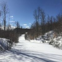 90 acres in Foothills of Adirondacks