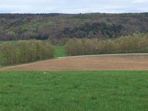 80 acres Farmland near Brookfield Horse Trail featured image