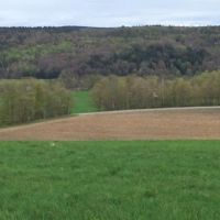 80 acres Farmland near Brookfield Horse Trail