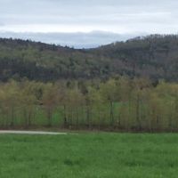 80 acres Farmland near Brookfield Horse Trail images 5