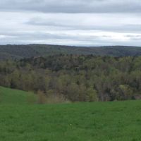 80 acres Farmland near Brookfield Horse Trail images 4