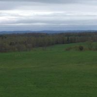 80 acres Farmland near Brookfield Horse Trail images 2