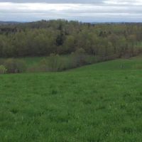 80 acres Farmland near Brookfield Horse Trail images 6