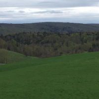 80 acres Farmland near Brookfield Horse Trail images 3