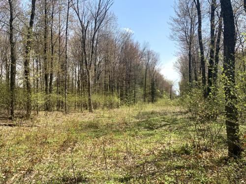 10 acres Approved Building Lot Florence NY featured image