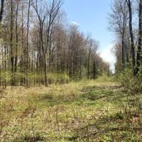 10 acres Approved Building Lot Florence NY