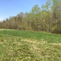 10 acres Approved Building Lot Florence NY images 3