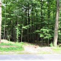 54 acres Timberland near State Forest images 6