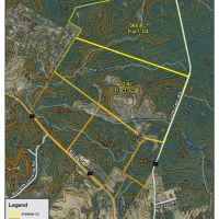 360 Acres &nbsp; Chita Cemetery Rd &nbsp; Brushy Creek &nbsp;   Tract C4 images 2