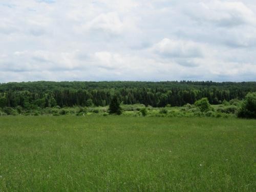 32 acres Farmland with Views Boonville NY featured image