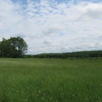 32 acres Farmland with Views Boonville NY images 2
