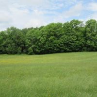 32 acres Farmland with Views Boonville NY images 3
