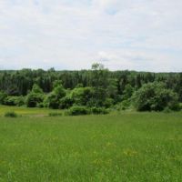 32 acres Farmland with Views Boonville NY images 5