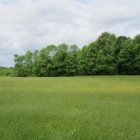 32 acres Farmland with Views Boonville NY images 6