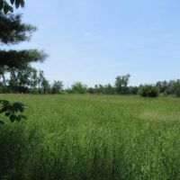 51 acres on Little River Camden NY images 2