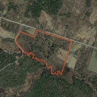 51 acres on Little River Camden NY images 4
