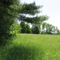 51 acres on Little River Camden NY images 5
