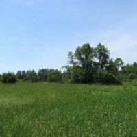 51 acres on Little River Camden NY images 6
