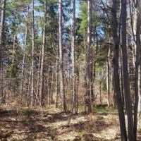 17 acres on Carterville Pond Amboy NY