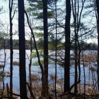 17 acres on Carterville Pond Amboy NY images 2