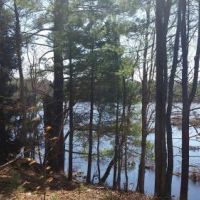 17 acres on Carterville Pond Amboy NY images 6
