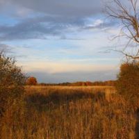 36 acres Hunting Land with Owner Financing images 1