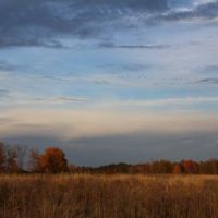 36 acres Hunting Land with Owner Financing images 3