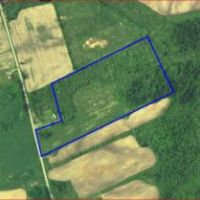 36 acres Hunting Land with Owner Financing images 4