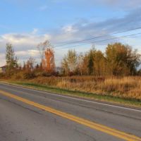 36 acres Hunting Land with Owner Financing images 5