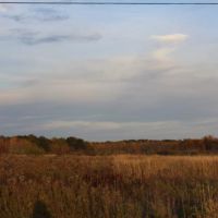 36 acres Hunting Land with Owner Financing images 6