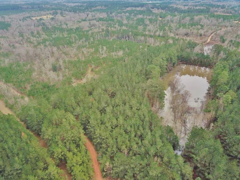 48.26 Acres Hunting Land with Pond &nbsp; Timber  Pike County MS featured image