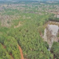 48.26 Acres Hunting Land with Pond &nbsp; Timber  Pike County MS