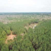 48.26 Acres Hunting Land with Pond &nbsp; Timber  Pike County MS images 2