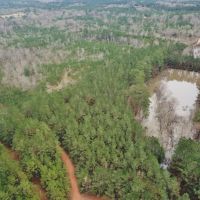 48.26 Acres Hunting Land with Pond &nbsp; Timber  Pike County MS images 4