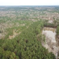 48.26 Acres Hunting Land with Pond &nbsp; Timber  Pike County MS images 6